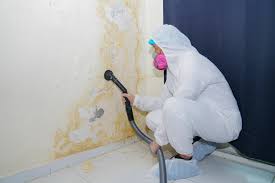 Biohazard Mold Removal in Justice, OK